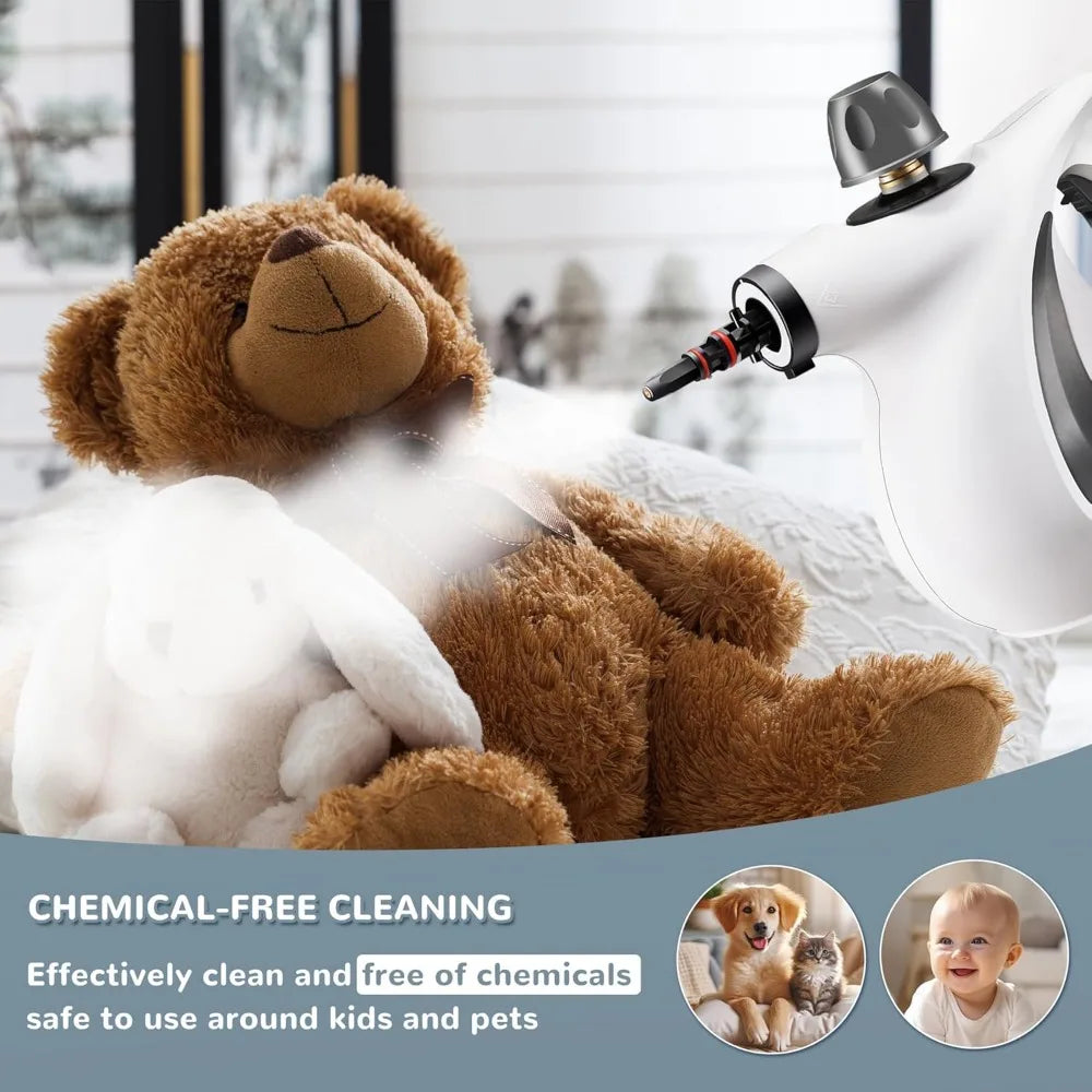 Hand held Steam Cleaner
