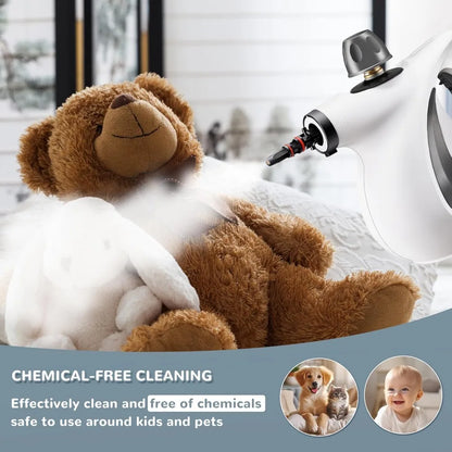 Hand held Steam Cleaner